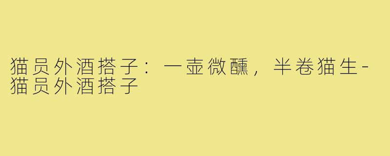 猫员外酒搭子：一壶微醺，半卷猫生-猫员外酒搭子