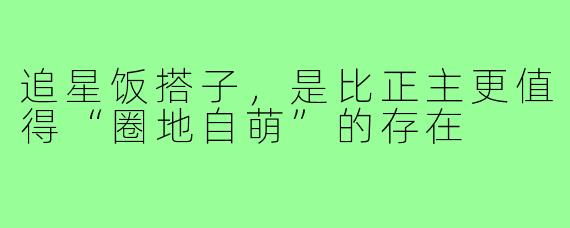 追星饭搭子，是比正主更值得“圈地自萌”的存在
