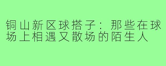 铜山新区球搭子:那些在球场上相遇又散场的陌生人