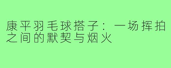 康平羽毛球搭子:一场挥拍之间的默契与烟火