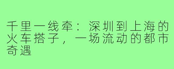 千里一线牵:深圳到上海的火车搭子,一场流动的都市奇遇