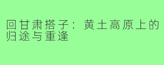 回甘肃搭子：黄土高原上的归途与重逢