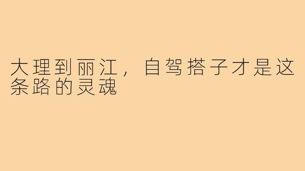 大理到丽江,自驾搭子才是这条路的灵魂