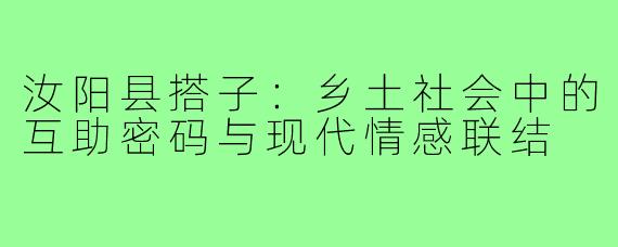 汝阳县搭子:乡土社会中的互助密码与现代情感联结
