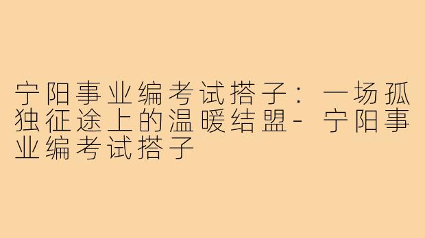 宁阳事业编考试搭子:一场孤独征途上的温暖结盟-宁阳事业编考试搭子