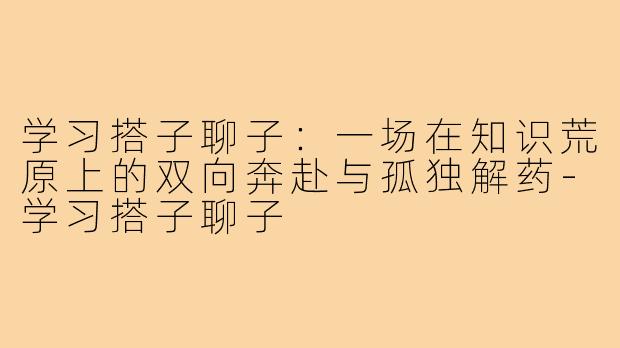 学习搭子聊子:一场在知识荒原上的双向奔赴与孤独解药-学习搭子聊子