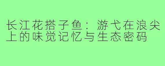 长江花搭子鱼:游弋在浪尖上的味觉记忆与生态密码
