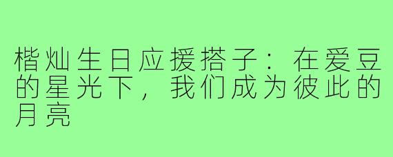 楷灿生日应援搭子:在爱豆的星光下,我们成为彼此的月亮