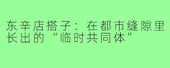 东辛店搭子：在都市缝隙里长出的“临时共同体”