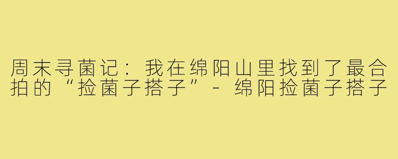 周末寻菌记:我在绵阳山里找到了最合拍的“捡菌子搭子”-绵阳捡菌子搭子