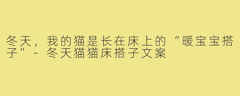 冬天,我的猫是长在床上的“暖宝宝搭子”-冬天猫猫床搭子文案