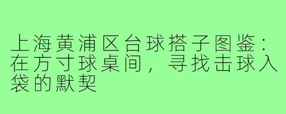 上海黄浦区台球搭子图鉴:在方寸球桌间,寻找击球入袋的默契