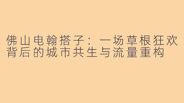 佛山电翰搭子:一场草根狂欢背后的城市共生与流量重构