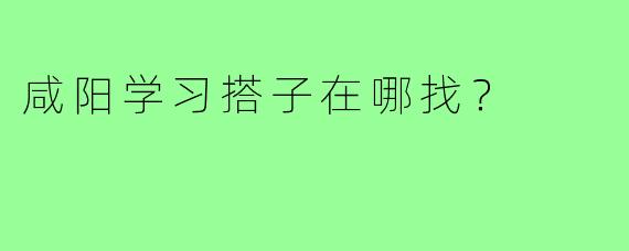 咸阳学习搭子在哪找?