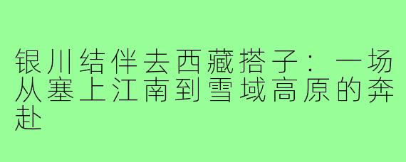 银川结伴去西藏搭子:一场从塞上江南到雪域高原的奔赴