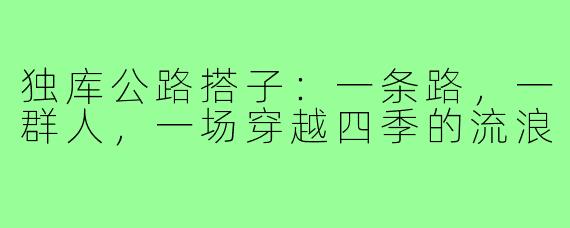独库公路搭子:一条路,一群人,一场穿越四季的流浪