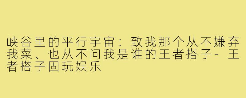 峡谷里的平行宇宙:致我那个从不嫌弃我菜、也从不问我是谁的王者搭子-王者搭子固玩娱乐