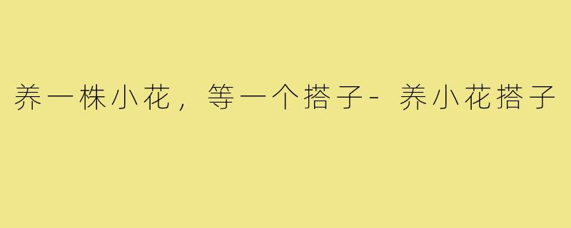 养一株小花,等一个搭子-养小花搭子