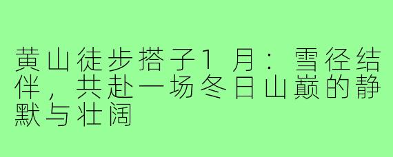 黄山徒步搭子1月:雪径结伴,共赴一场冬日山巅的静默与壮阔