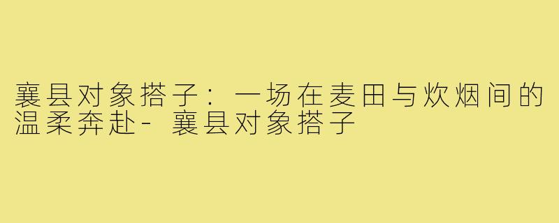 襄县对象搭子:一场在麦田与炊烟间的温柔奔赴-襄县对象搭子