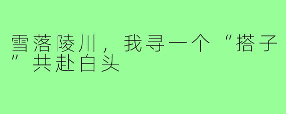 雪落陵川,我寻一个“搭子”共赴白头