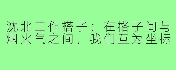 沈北工作搭子:在格子间与烟火气之间,我们互为坐标