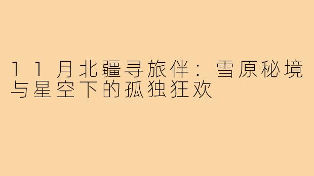 11月北疆寻旅伴:雪原秘境与星空下的孤独狂欢