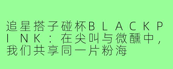 追星搭子碰杯BLACKPINK:在尖叫与微醺中,我们共享同一片粉海