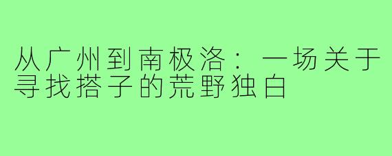 从广州到南极洛：一场关于寻找搭子的荒野独白
