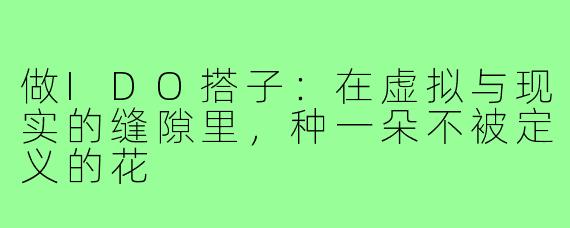 做IDO搭子:在虚拟与现实的缝隙里,种一朵不被定义的花