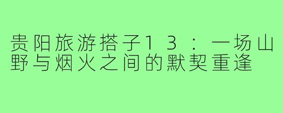 贵阳旅游搭子13:一场山野与烟火之间的默契重逢