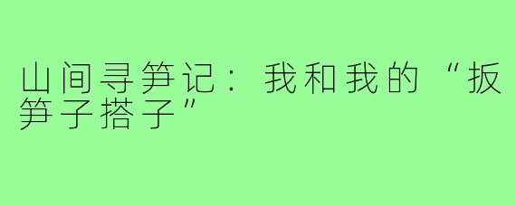 山间寻笋记:我和我的“扳笋子搭子”