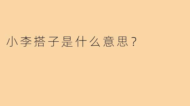 小李搭子是什么意思?