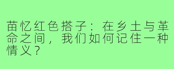 苗忆红色搭子：在乡土与革命之间，我们如何记住一种情义？