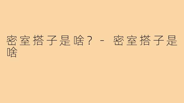密室搭子是啥？