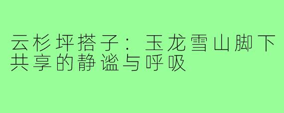 云杉坪搭子:玉龙雪山脚下共享的静谧与呼吸