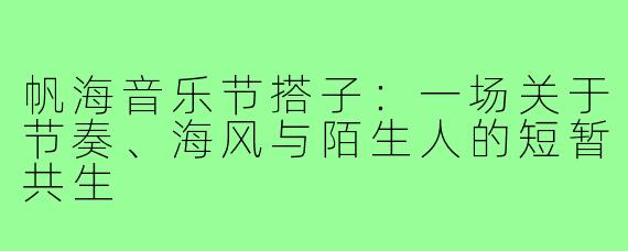 帆海音乐节搭子:一场关于节奏、海风与陌生人的短暂共生
