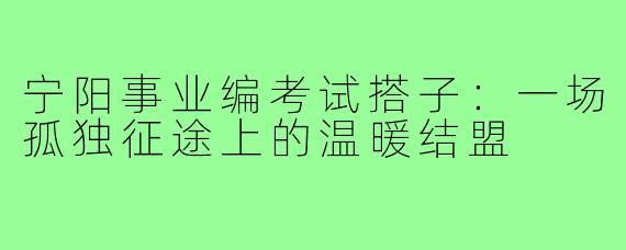 宁阳事业编考试搭子:一场孤独征途上的温暖结盟