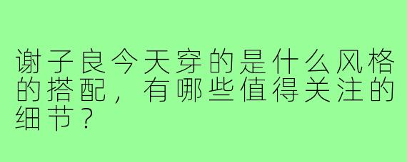 谢子良今天穿的是什么风格的搭配,有哪些值得关注的细节?