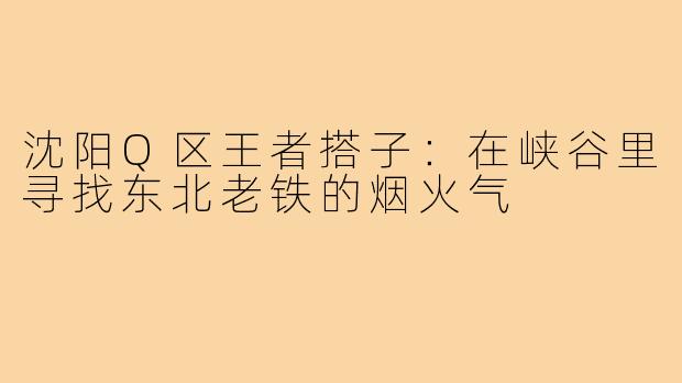 沈阳Q区王者搭子：在峡谷里寻找东北老铁的烟火气