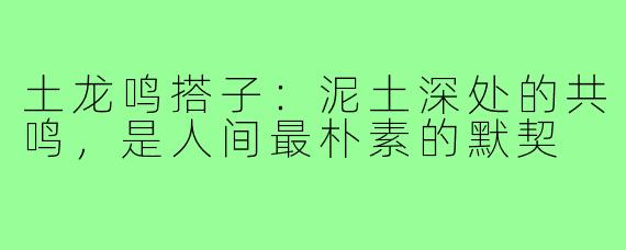 土龙鸣搭子:泥土深处的共鸣,是人间最朴素的默契