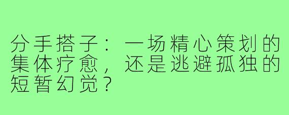 分手搭子：一场精心策划的集体疗愈，还是逃避孤独的短暂幻觉？