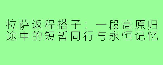 拉萨返程搭子：一段高原归途中的短暂同行与永恒记忆