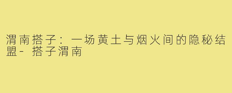渭南搭子:一场黄土与烟火间的隐秘结盟-搭子渭南