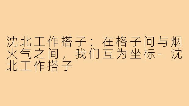 沈北工作搭子:在格子间与烟火气之间,我们互为坐标-沈北工作搭子