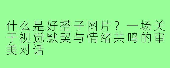 什么是好搭子图片?一场关于视觉默契与情绪共鸣的审美对话