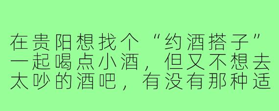 在贵阳想找个“约酒搭子”一起喝点小酒,但又不想去太吵的酒吧,有没有那种适合微醺聊天、环境又舒服的地方推荐?