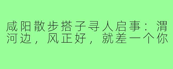 咸阳散步搭子寻人启事:渭河边,风正好,就差一个你