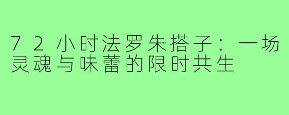 72小时法罗朱搭子：一场灵魂与味蕾的限时共生