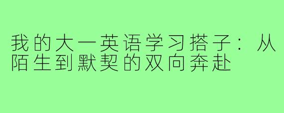 我的大一英语学习搭子:从陌生到默契的双向奔赴